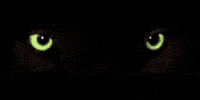 auge00008