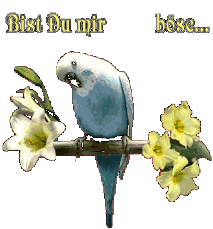 sprueche0015905